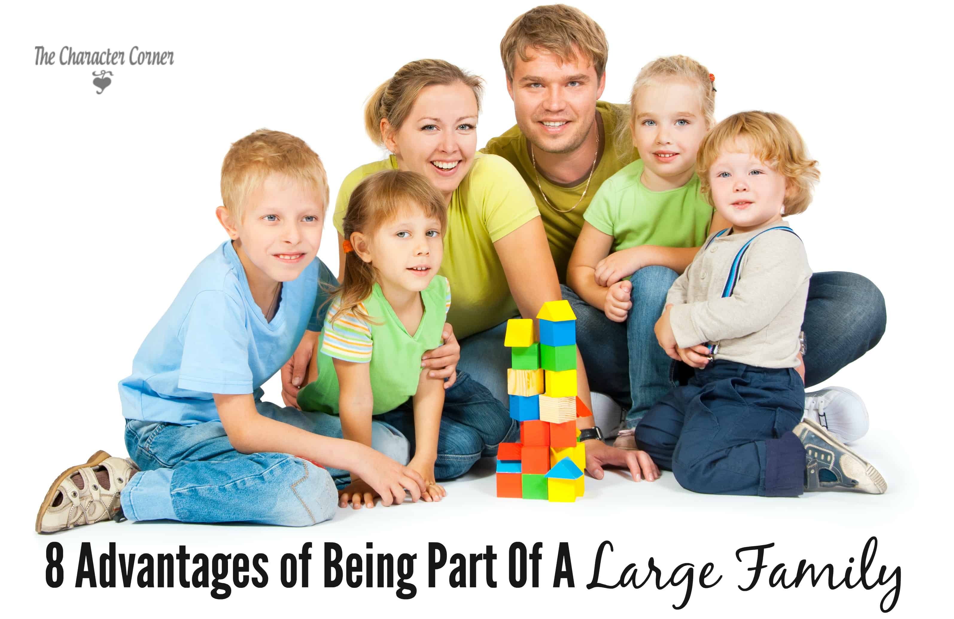 Large family advantages