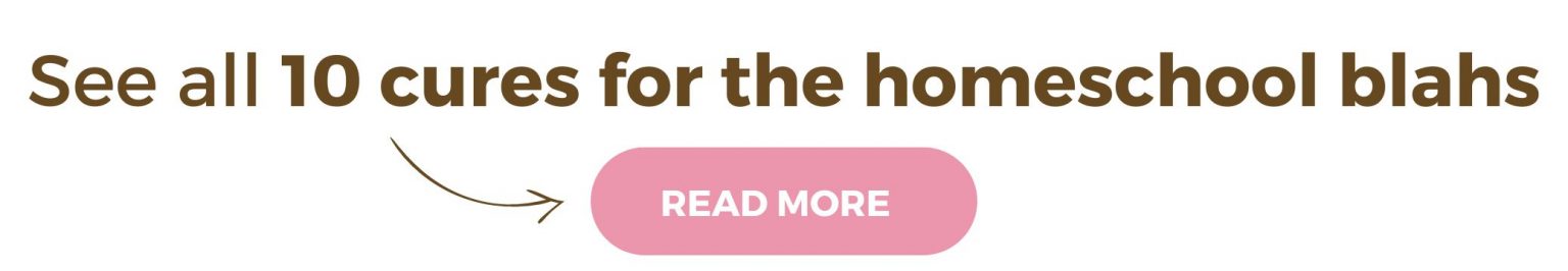 Read More: 10 cures for the homeschool blahs